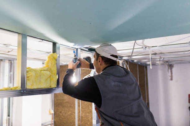 Best Spray Foam Insulation in Baldwin Park, CA